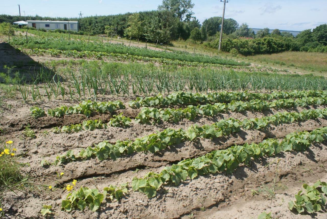 Agrodomki Okej -Dom Kasjan Gardna Wielka المظهر الخارجي الصورة