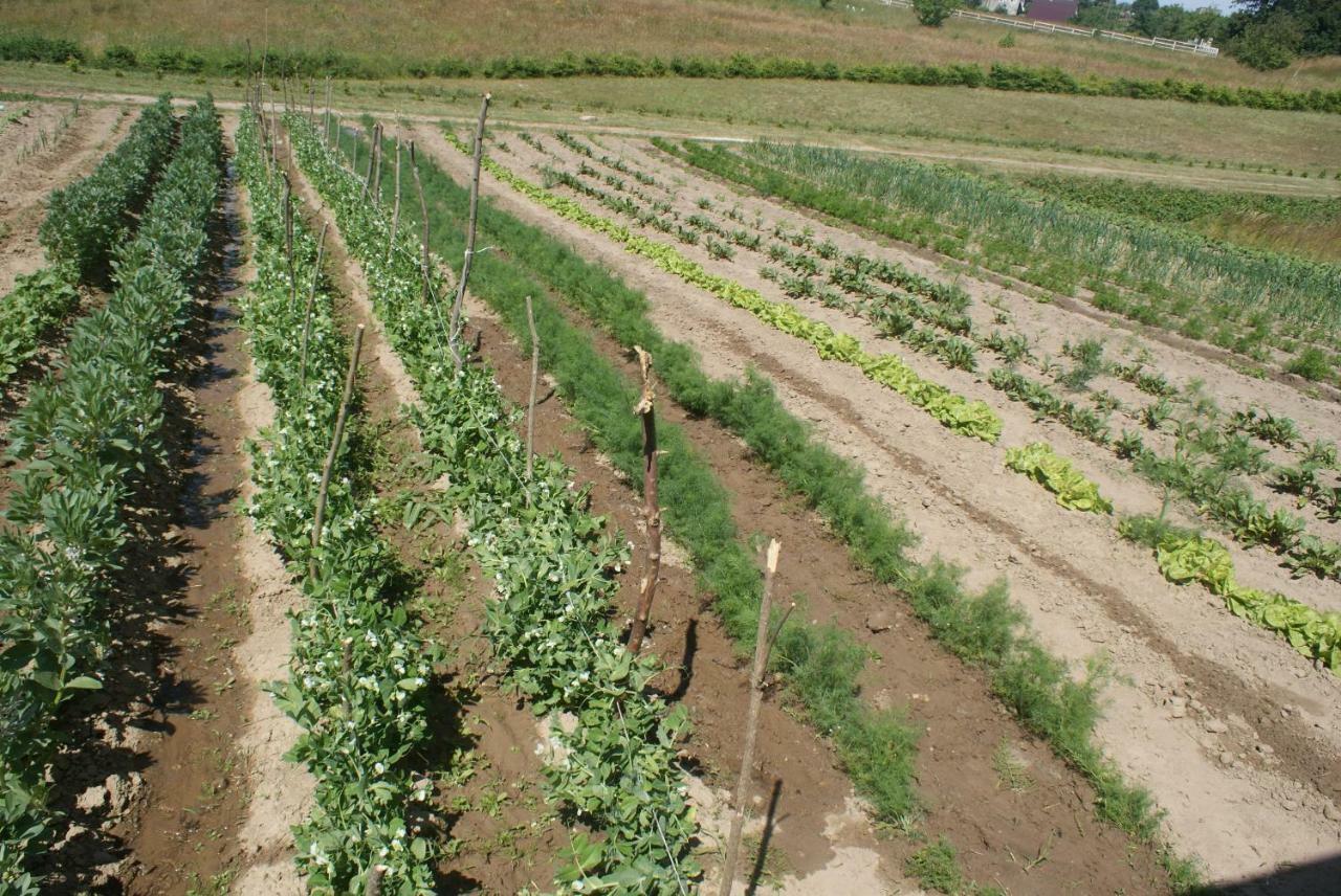Agrodomki Okej -Dom Kasjan Gardna Wielka المظهر الخارجي الصورة